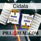 Cidala 12